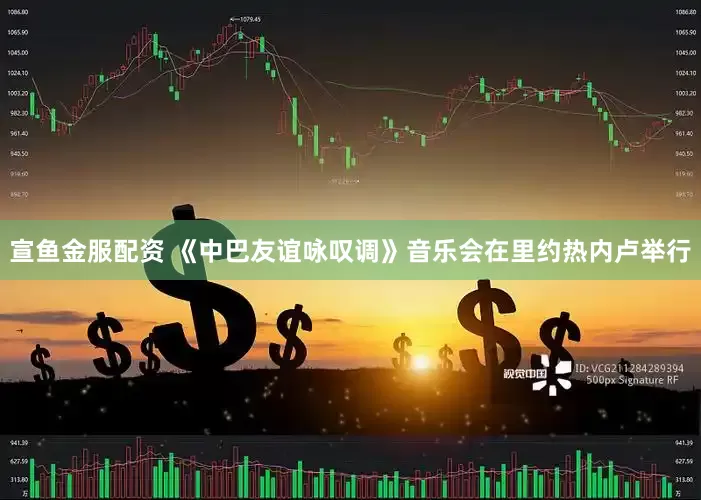 宣鱼金服配资 《中巴友谊咏叹调》音乐会在里约热内卢举行