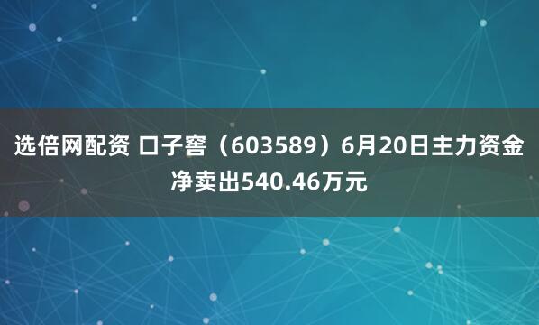 选倍网配资 口子窖（603589）6月20日主力资金净卖出540.46万元