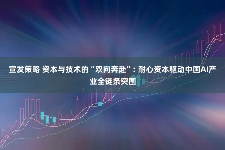 宣发策略 资本与技术的“双向奔赴”: 耐心资本驱动中国AI产业全链条突围
