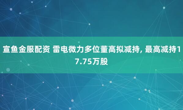 宣鱼金服配资 雷电微力多位董高拟减持, 最高减持17.75万股