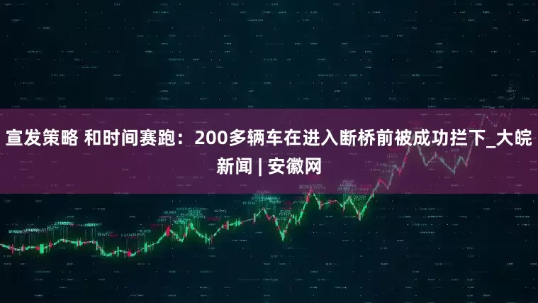 宣发策略 和时间赛跑：200多辆车在进入断桥前被成功拦下_大皖新闻 | 安徽网