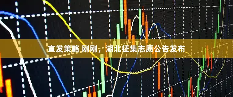 宣发策略 刚刚，湖北征集志愿公告发布