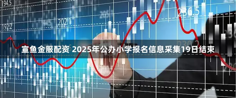 宣鱼金服配资 2025年公办小学报名信息采集19日结束