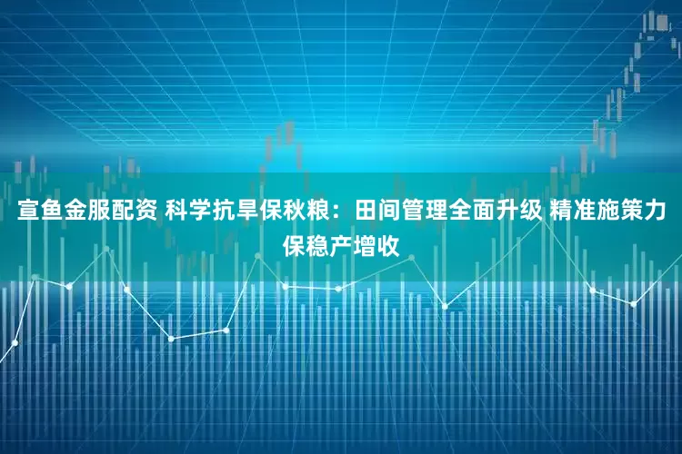 宣鱼金服配资 科学抗旱保秋粮：田间管理全面升级 精准施策力保稳产增收